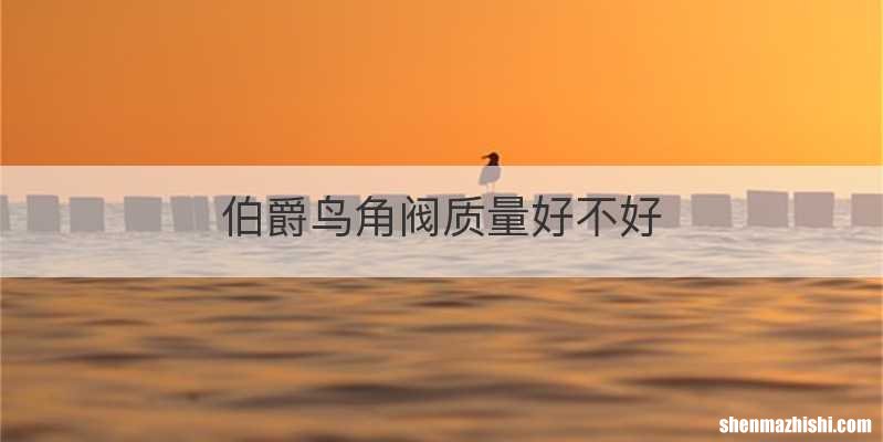 伯爵鸟角阀质量好不好