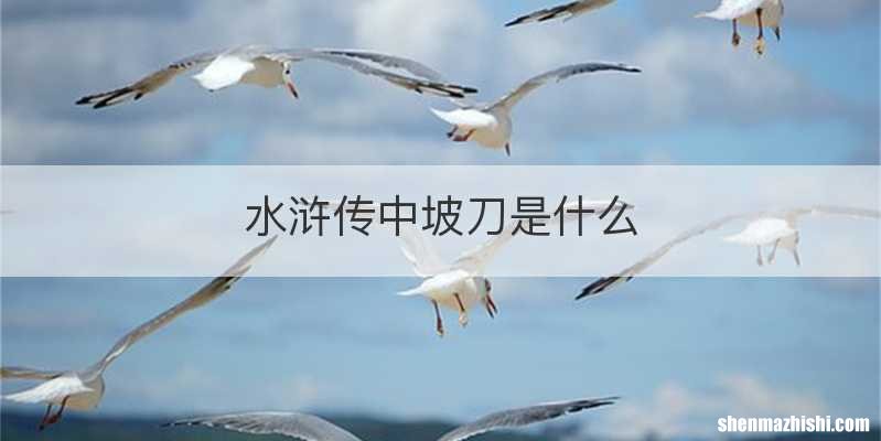 水浒传中坡刀是什么