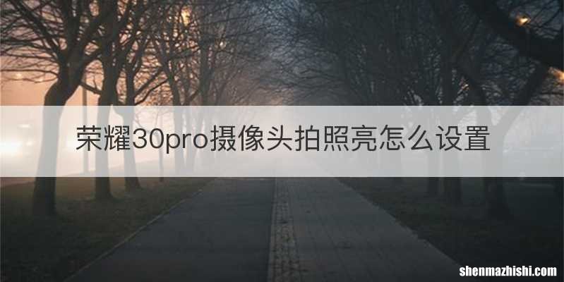 荣耀30pro摄像头拍照亮怎么设置