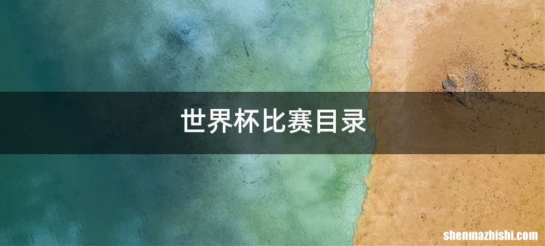 世界杯比赛目录