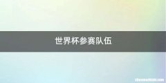 世界杯参赛队伍