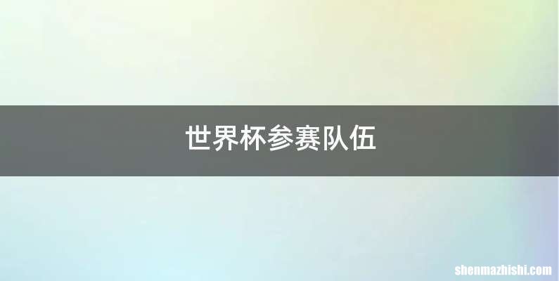 世界杯参赛队伍