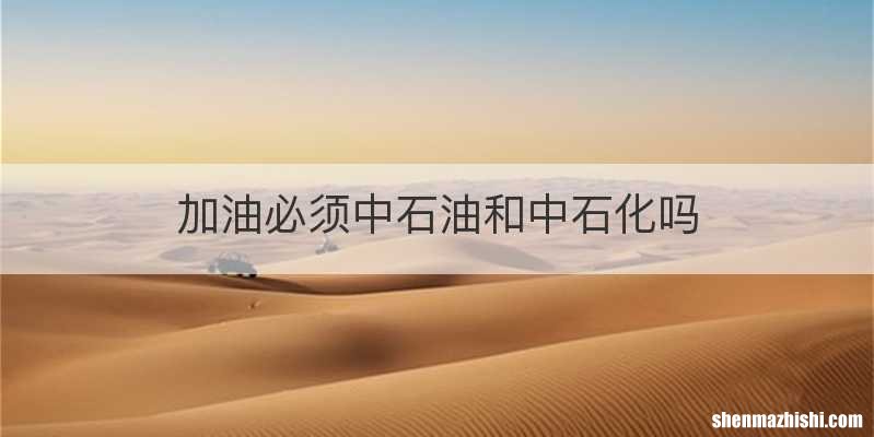 加油必须中石油和中石化吗