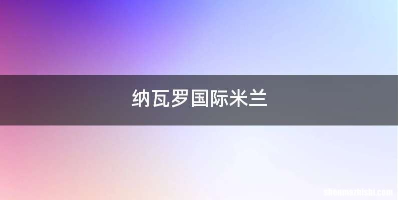 纳瓦罗国际米兰