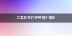 武磊加盟西班牙哪个球队