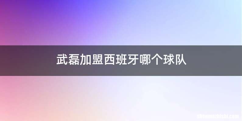 武磊加盟西班牙哪个球队