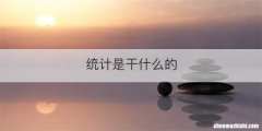 统计是干什么的