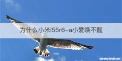 为什么小米l55r6-a小爱唤不醒