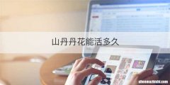 山丹丹花能活多久