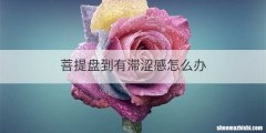 菩提盘到有滞涩感怎么办