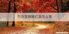 巴吉度眼睛红是怎么事