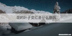 花的叶子变红是什么原因