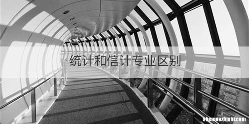 统计和信计专业区别