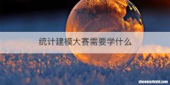 统计建模大赛需要学什么
