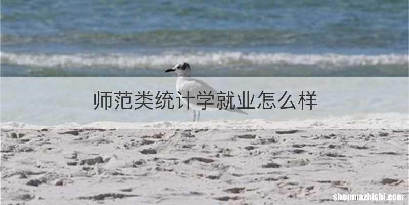 师范类统计学就业怎么样