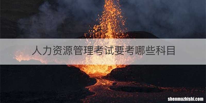 人力资源管理考试要考哪些科目