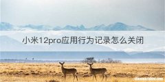 小米12pro应用行为记录怎么关闭