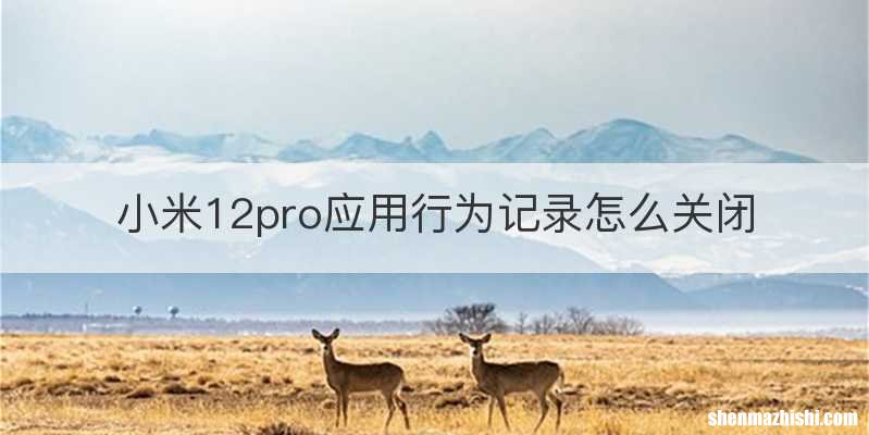 小米12pro应用行为记录怎么关闭