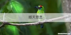 撼天意思