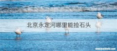 北京永定河哪里能捡石头