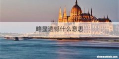 略显遗憾什么意思