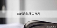 略感遗憾什么意思