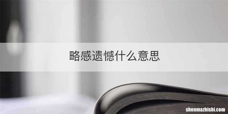 略感遗憾什么意思