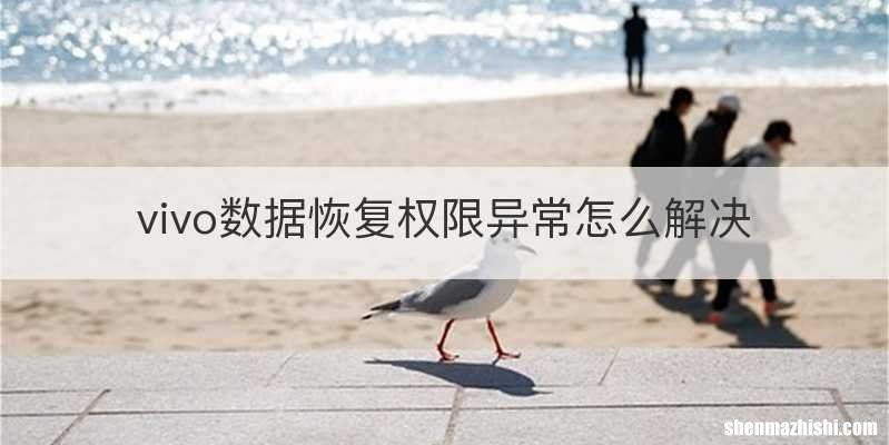 vivo数据恢复权限异常怎么解决