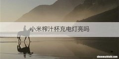小米榨汁杯充电灯亮吗
