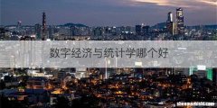 数字经济与统计学哪个好
