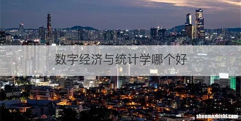 数字经济与统计学哪个好