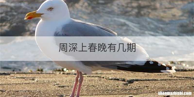 周深上春晚有几期