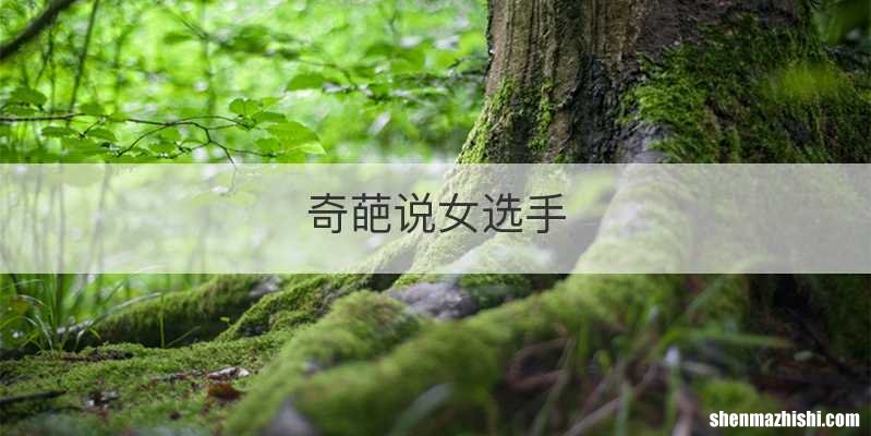 奇葩说女选手