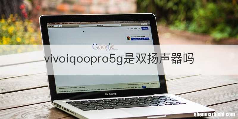 vivoiqoopro5g是双扬声器吗
