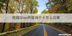 荣耀50se声音调不大怎么回事