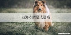四海欢腾是成语吗