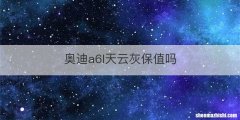 奥迪a6l天云灰保值吗