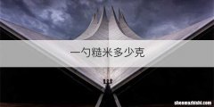 一勺糙米多少克
