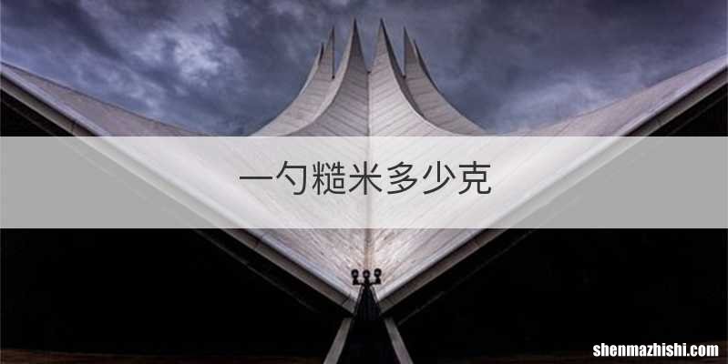 一勺糙米多少克