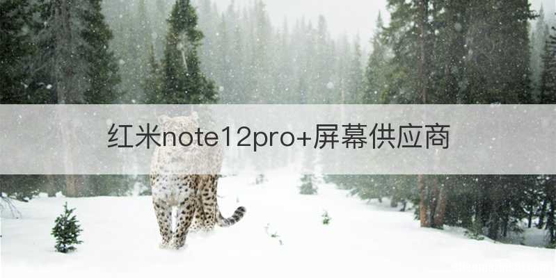 红米note12pro+屏幕供应商