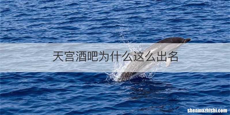 天宫酒吧为什么这么出名