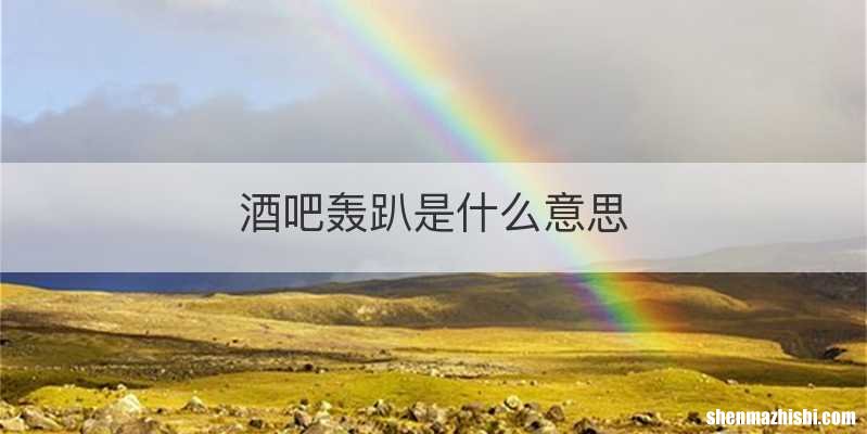 酒吧轰趴是什么意思