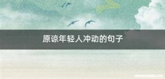 原谅年轻人冲动的句子