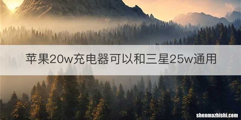 苹果20w充电器可以和三星25w通用