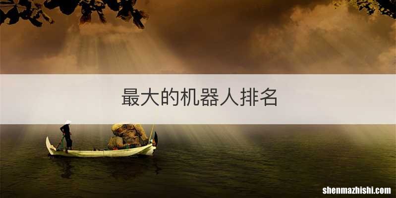 最大的机器人排名