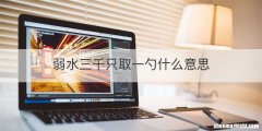 弱水三千只取一勺什么意思