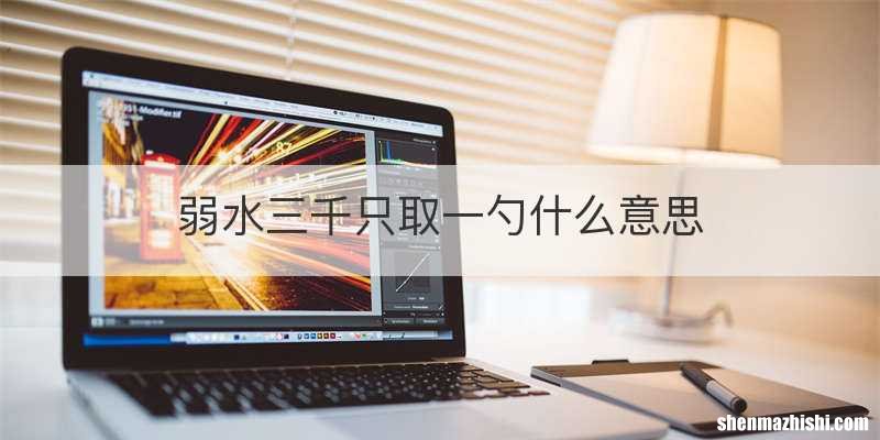 弱水三千只取一勺什么意思