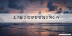水培郁金香没有多菌灵怎么办