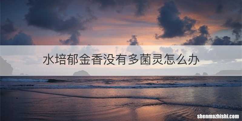 水培郁金香没有多菌灵怎么办