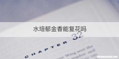 水培郁金香能复花吗